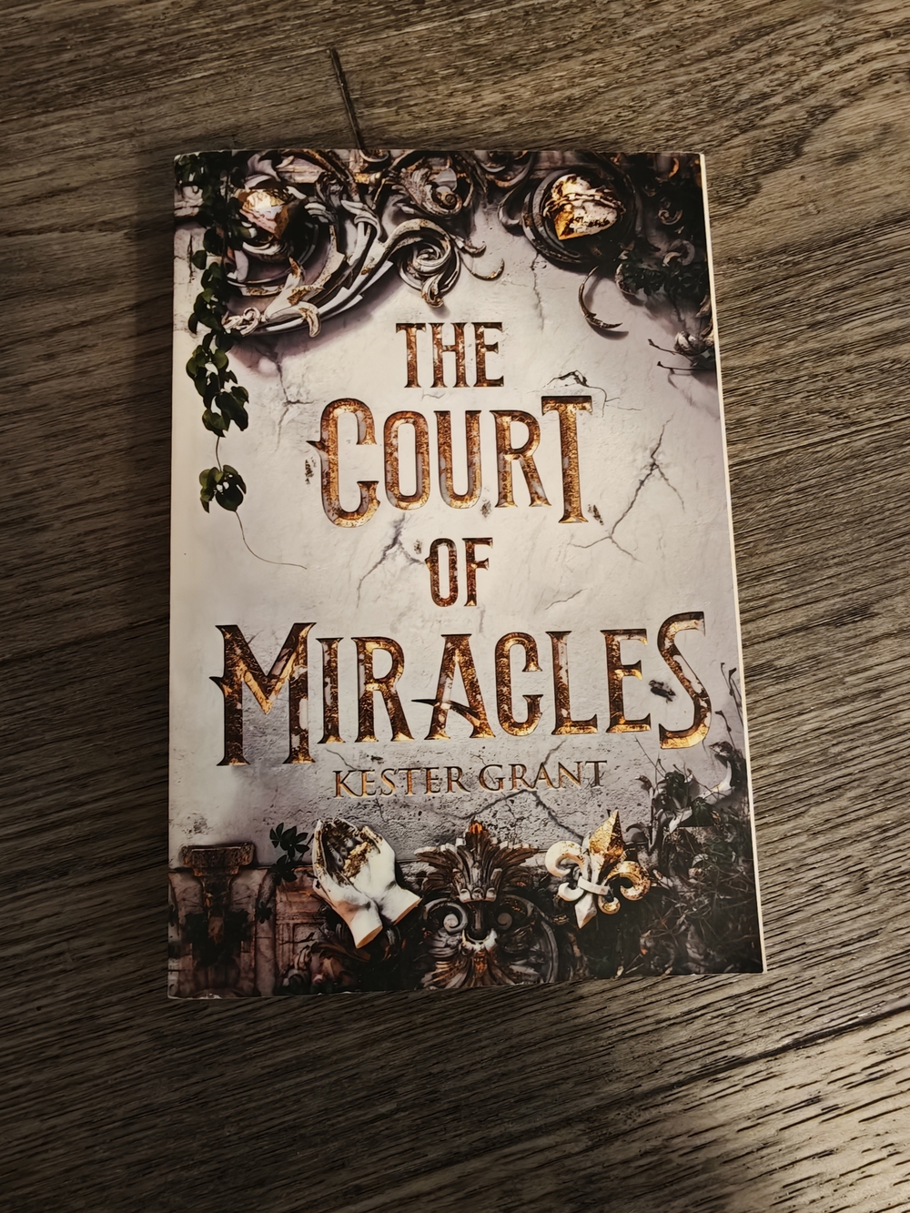 The Court of Miracles by Kester Grant book